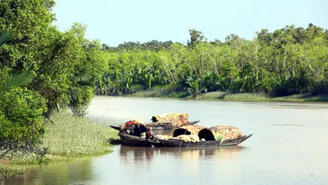 ফাইল ছবি
