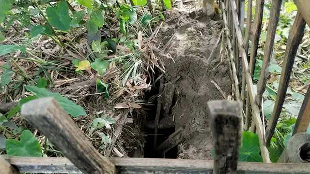 ছবি : সংগৃহীত