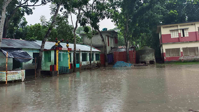 ছবি : সংগৃহীত