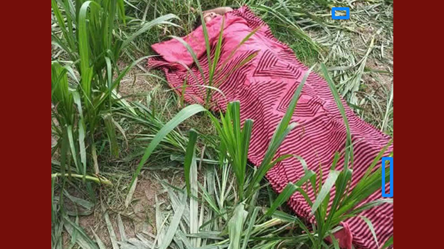 ছবি : সংগৃহীত