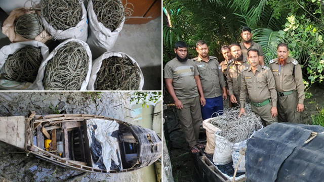 হরিণ শিকারে ব্যবহৃত ছয় বস্তা ফাঁদ ও প্রায় ৩৭০ কেজি বরফসহ জব্দ হওয়া ট্রলার। ছবি: আসাদুজ্জামানের ফেসবুক থেকে সংগৃহীত