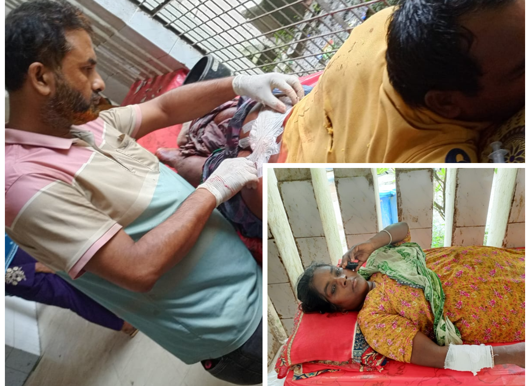 ছবি : সংগৃহীত 